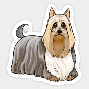 Dog - Silky Terrier - Sable Sticker